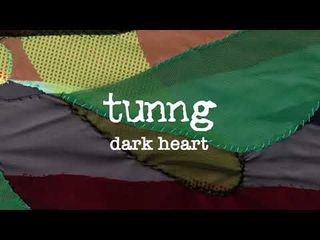 Shadows (feat Jordan Rakei) by Bonobo and dark heart by tunng